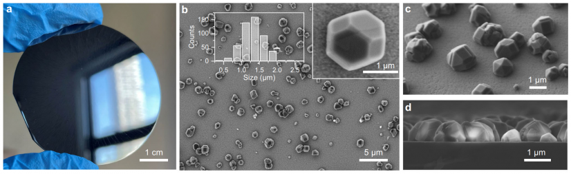 Photo of the diamond PUF label (a). Electron microscopy images of a diamond-based PUF-label, individual diamond microparticles and their spread on the silicon substrate are clearly visible: top-view (b), side-view. (c) cross-section (d)

 